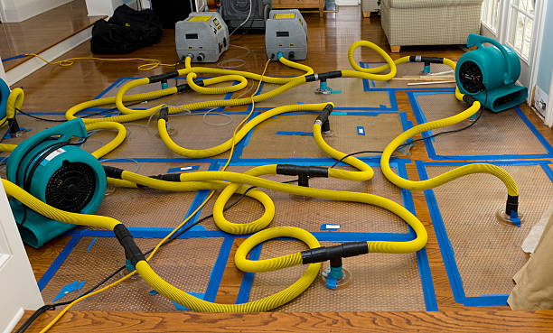 Professional Basement Flood Cleanup technician working in Enon, VA